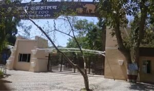 Kamla Nehru Praani Sangraahalaya Indore Zoo